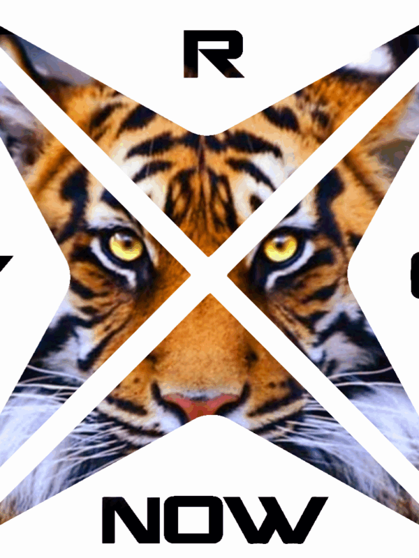 College Hoodie TIGER (Limited Edition) SCHWARZ