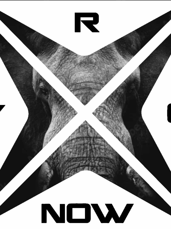 College Hoodie ELEFANT (Limited Edition) Schwarz