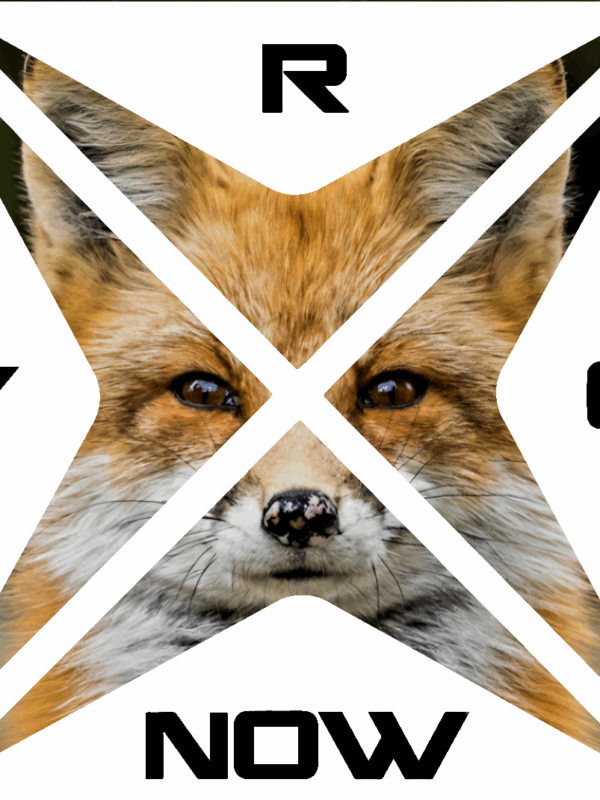 College Hoodie FOX (Limited Edition) Schwarz